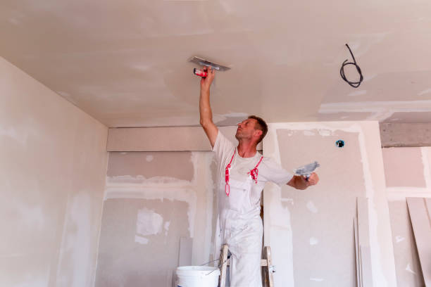  , USA Painting & Drywall Services Pros